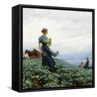 The Cabbage Field, 1914-Charles Courtney Curran-Framed Stretched Canvas