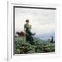 The Cabbage Field, 1914-Charles Courtney Curran-Framed Giclee Print