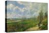 The Cabbage Garden Near Pontoise, 1878-Camille Pissarro-Stretched Canvas