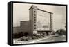 The Cactus Drive-In Theater-null-Framed Stretched Canvas