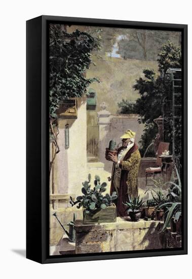 The Cactus Lover, before 1858-Carl Spitzweg-Framed Stretched Canvas