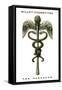 The Caduceus, 1923-null-Framed Stretched Canvas