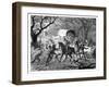 The Caffre War: Natives Attacking a Convoy, 19th Century-null-Framed Giclee Print
