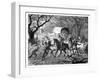 The Caffre War: Natives Attacking a Convoy, 19th Century-null-Framed Giclee Print