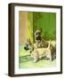 The Cairn Terrier Pair-Diana Thorne-Framed Art Print