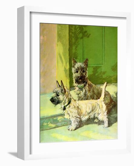 The Cairn Terrier Pair-Diana Thorne-Framed Art Print