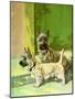 The Cairn Terrier Pair-Diana Thorne-Mounted Art Print