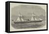 The Calcutta and China New Line Ship Vibilia-Edwin Weedon-Framed Stretched Canvas