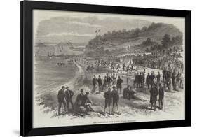 The Caledonian Club Games at San Francisco-null-Framed Giclee Print