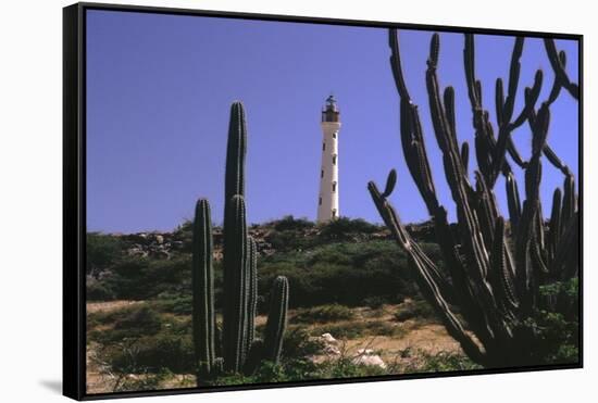 The California Lighthouse with Cactuses Aruba-George Oze-Framed Stretched Canvas