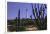 The California Lighthouse with Cactuses Aruba-George Oze-Framed Photographic Print