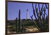 The California Lighthouse with Cactuses Aruba-George Oze-Framed Photographic Print