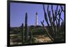 The California Lighthouse with Cactuses Aruba-George Oze-Framed Photographic Print