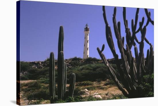 The California Lighthouse with Cactuses Aruba-George Oze-Stretched Canvas