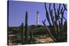 The California Lighthouse with Cactuses Aruba-George Oze-Stretched Canvas