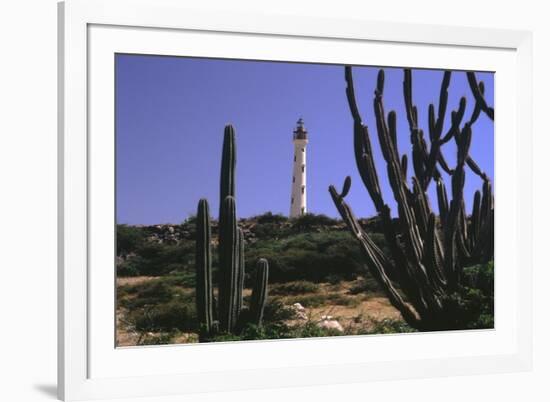 The California Lighthouse with Cactuses Aruba-George Oze-Framed Photographic Print