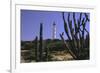 The California Lighthouse with Cactuses Aruba-George Oze-Framed Photographic Print