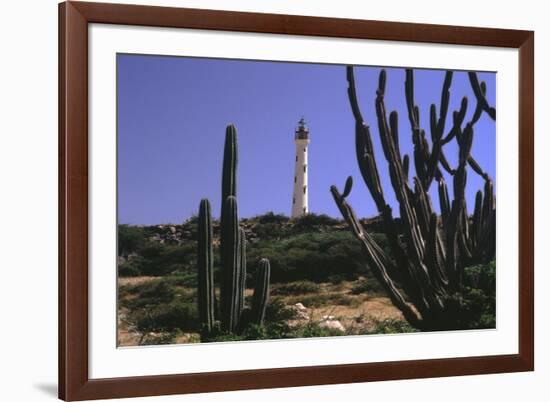 The California Lighthouse with Cactuses Aruba-George Oze-Framed Photographic Print