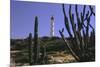 The California Lighthouse with Cactuses Aruba-George Oze-Mounted Photographic Print