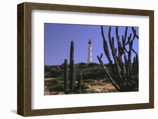 The California Lighthouse with Cactuses Aruba-George Oze-Framed Photographic Print