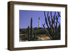 The California Lighthouse with Cactuses Aruba-George Oze-Framed Photographic Print