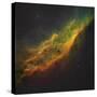 The California Nebula-Stocktrek Images-Stretched Canvas