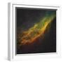 The California Nebula-Stocktrek Images-Framed Photographic Print