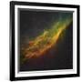 The California Nebula-Stocktrek Images-Framed Photographic Print