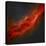 The California Nebula-Stocktrek Images-Stretched Canvas