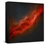 The California Nebula-Stocktrek Images-Framed Stretched Canvas