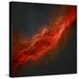 The California Nebula-Stocktrek Images-Stretched Canvas