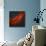 The California Nebula-Stocktrek Images-Photographic Print displayed on a wall