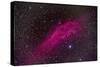 The California Nebula-null-Stretched Canvas