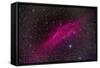 The California Nebula-null-Framed Stretched Canvas