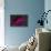 The California Nebula-null-Stretched Canvas displayed on a wall