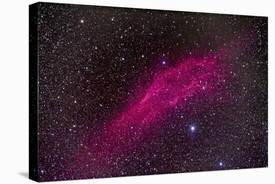 The California Nebula-null-Stretched Canvas