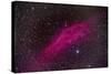 The California Nebula-null-Stretched Canvas