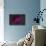 The California Nebula-null-Photographic Print displayed on a wall