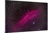 The California Nebula-null-Mounted Photographic Print