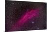 The California Nebula-null-Mounted Photographic Print