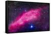 The California Nebula-Stocktrek Images-Framed Stretched Canvas