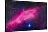 The California Nebula-Stocktrek Images-Stretched Canvas