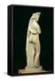 The Callipige Aphrodite, from the Farnese Collection, 2nd Century BC-null-Framed Stretched Canvas
