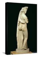 The Callipige Aphrodite, from the Farnese Collection, 2nd Century BC-null-Stretched Canvas