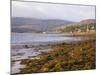 The Calm Waters of Lamlash Bay, Early Morning, Lamlash, Isle of Arran, North Ayrshire-Ruth Tomlinson-Mounted Photographic Print