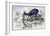 The Cambing Ootan-John Stewart-Framed Art Print