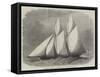 The Cambria, Winner of the International Yacht Race-Edwin Weedon-Framed Stretched Canvas