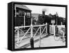 The Cambrian Coast Express Steam Locomotive Train at Llanbadarn Crossing Near Aberystwyth Wales-null-Framed Stretched Canvas