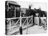 The Cambrian Coast Express Steam Locomotive Train at Llanbadarn Crossing Near Aberystwyth Wales-null-Stretched Canvas