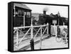 The Cambrian Coast Express Steam Locomotive Train at Llanbadarn Crossing Near Aberystwyth Wales-null-Framed Stretched Canvas